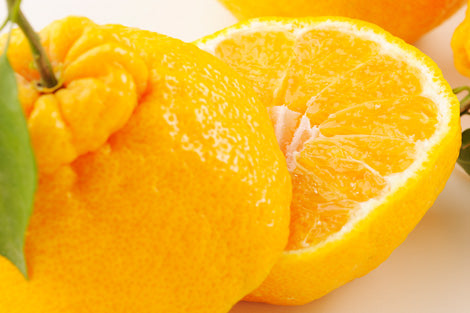 佐賀県産 でこぽん 約2.5キロ(10玉前後)