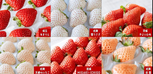 【超いちご箱 4種セット ★超いちご箱取扱説明書付き】
