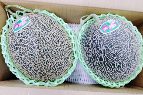 熊本県産 肥後グリーンメロン 2玉