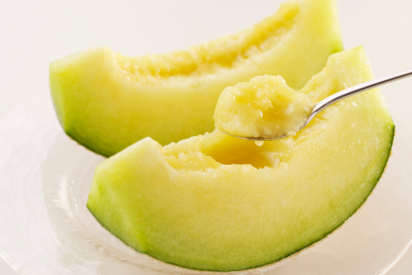 【厳選ギフト】≪一樹一玉≫静岡県産 マスクメロン 1玉