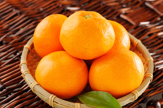 【御歳暮・冬ギフト】産地厳選 プレミアムみかん 3キロ 贈り物におすすめ