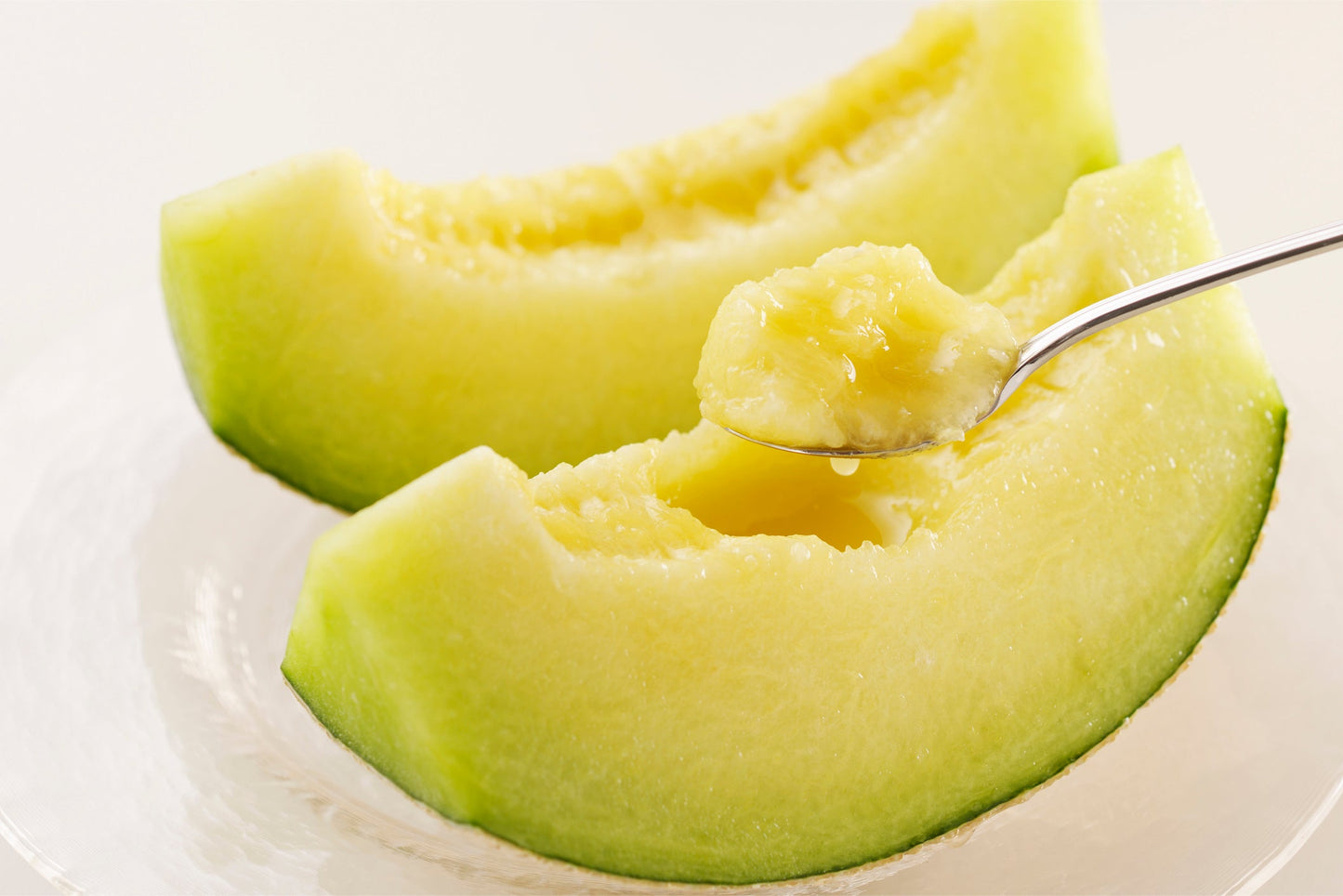 【厳選ギフト】≪一樹一玉≫静岡県産 マスクメロン 1玉 化粧箱