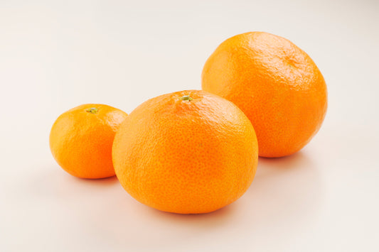 【御歳暮・冬ギフト】愛媛県産 紅まどんな 約3キロ バラ詰め ゼリーのようなぷるぷる食感(箱入り)