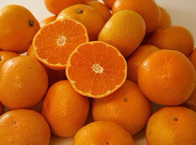 【御歳暮・冬ギフト】産地厳選 プレミアムみかん 3キロ 贈り物におすすめ