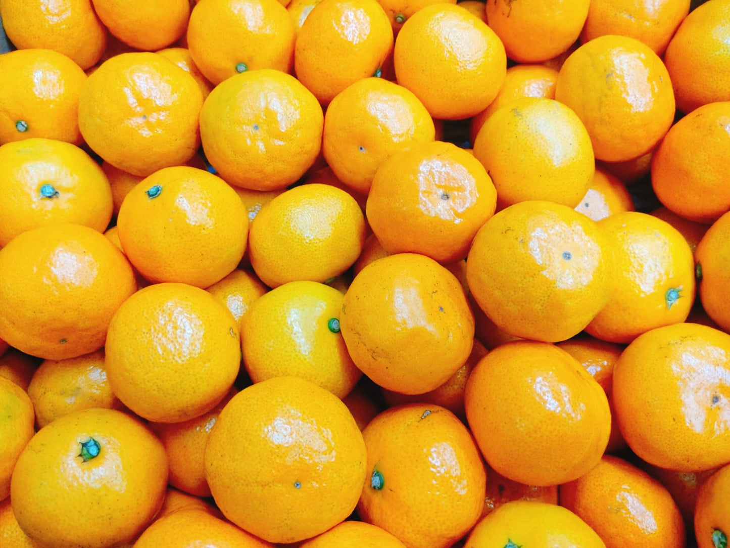 【旬の一押しみかん】和歌山県産 ゆらっ子みかん 3キロ