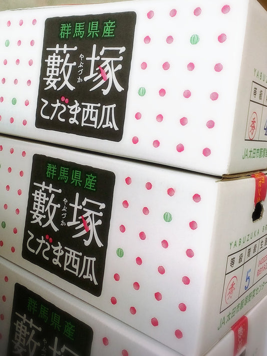 産地厳選 小玉スイカ 2玉