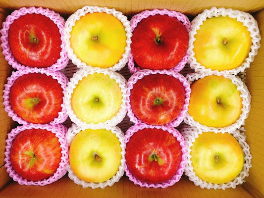 【御歳暮・冬ギフト】紅白りんご 約3キロ 10玉前後 めでたい紅白りんご 化粧箱