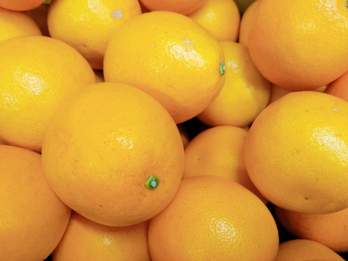 愛媛県産 美生柑 1箱 22玉入り