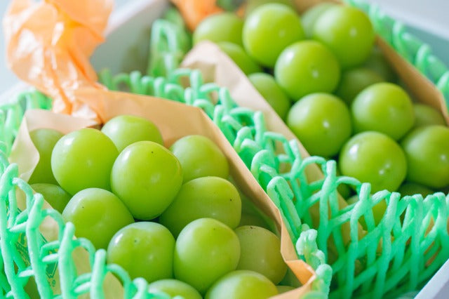 【ギフト】(箱入り) 長野県産か山梨県産 シャインマスカット 2房