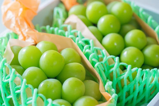 【ギフト】(箱入り) 長野県産か山梨県産 シャインマスカット 2房