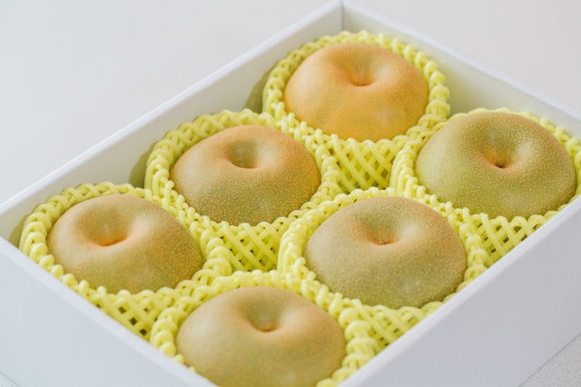 【おすすめ☆】産地厳選 旬の梨 約1.5キロ(5〜6玉前後) シャキシャキ!ジューシー!!