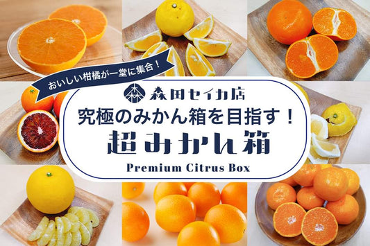 【超みかん箱】最上級の15種類の柑橘ボックス<ギフトにおすすめ!>20箱限定 500円オフ! 3月31日(日)販売終了!
