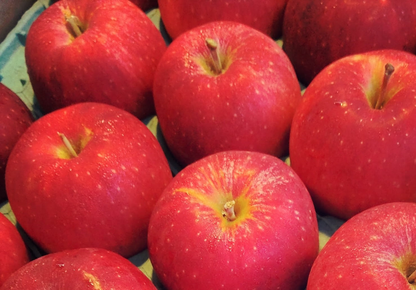【おすすめ☆】産地厳選　旬のりんご　約3キロ(10〜12玉前後)　今しか食べられない秋りんご！
