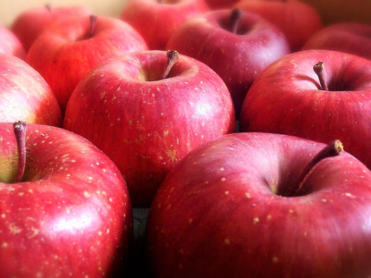 【おすすめ☆】産地厳選　旬のりんご　約3キロ(10〜12玉前後)　今しか食べられない秋りんご！