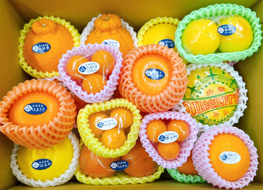 【超みかん箱】最上級の15種類の柑橘ボックス＜ギフトにおすすめ！＞20箱限定　3月31日(金)販売終了！