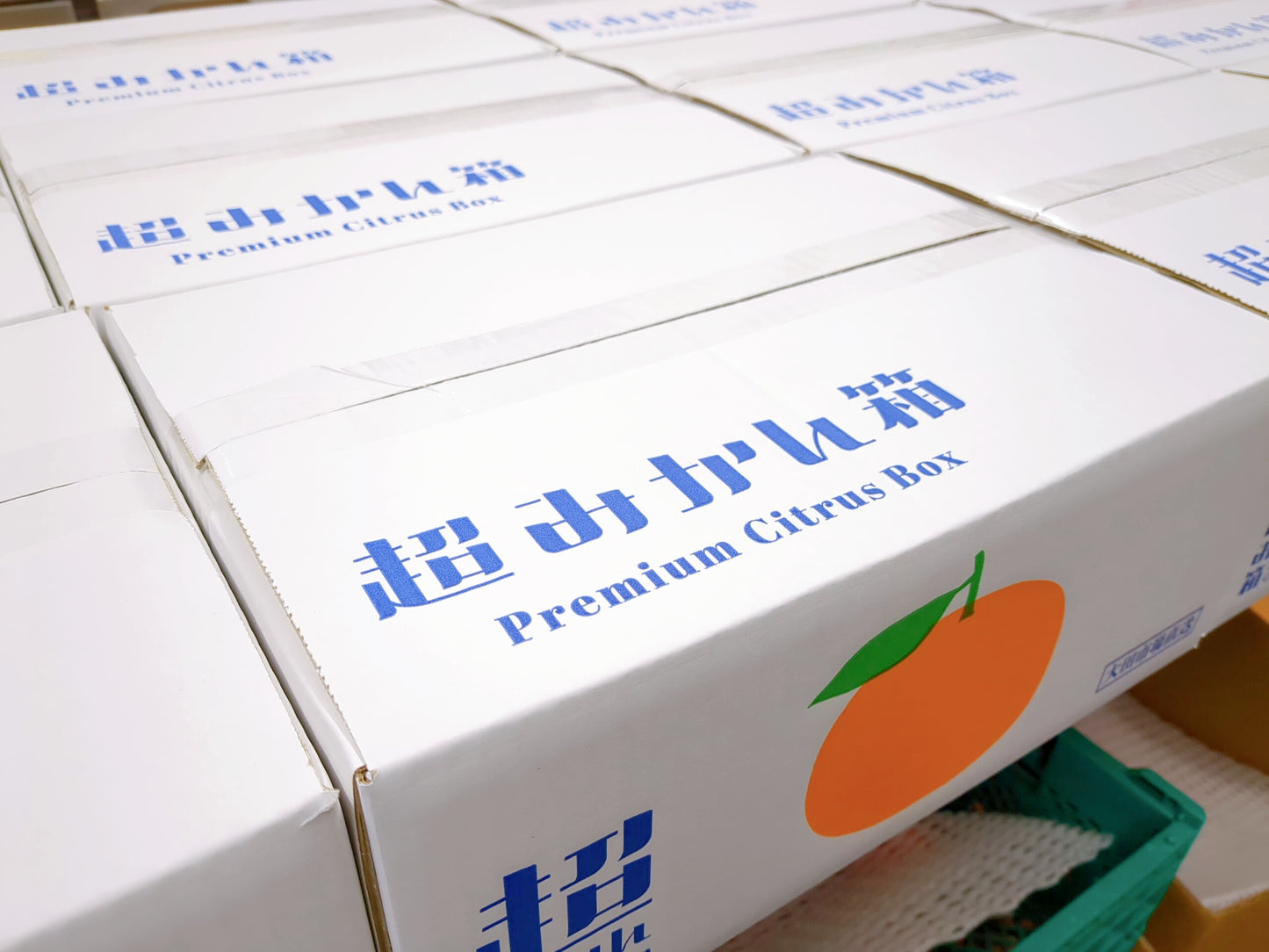 【超みかん箱】最上級の15種類の柑橘ボックス＜ギフトにおすすめ！＞20箱限定 1000円オフ！　3月31日(日)販売終了！