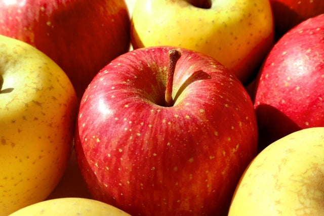 【御歳暮・冬ギフト】紅白りんご　各3玉　計6玉　めでたい紅白のりんご食べ比べ