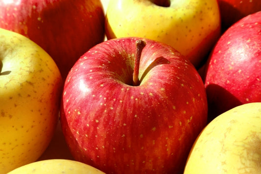 【御歳暮・冬ギフト】紅白りんご　各3玉　計6玉　めでたい紅白のりんご食べ比べ