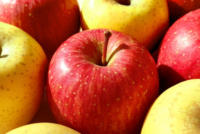 【御歳暮・冬ギフト】紅白りんご　各3玉　計6玉＜化粧箱入り＞　めでたい紅白のりんご食べ比べ
