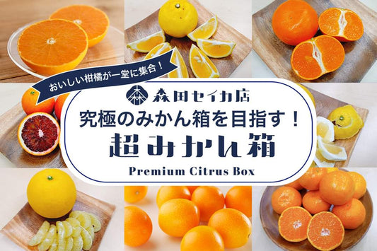 【超みかん箱】最上級の15種類の柑橘ボックス＜ギフトにおすすめ！＞20箱限定　3月31日(金)販売終了！